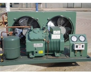 比澤爾壓縮機(jī)